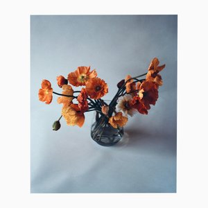 Ugne Pouwell, Orange Poppies No.3, 2024, Photographie