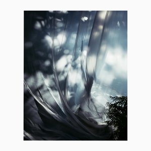 Ugne Pouwell, Daydream, 2020, Photography