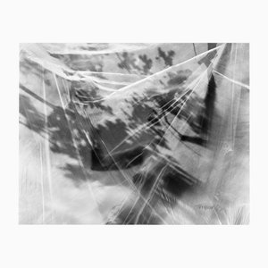 Ugne Pouwell, Undo No.2, 2024, Photography