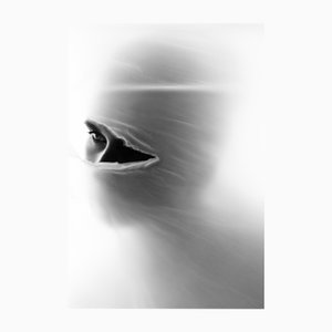 Ugne Pouwell, Personatus, 2020, Photography