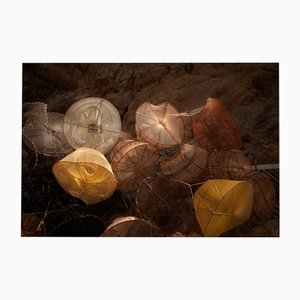 Ugne Pouwell, Fishing Nets No.2, 2020, Photography