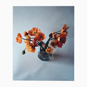 Ugne Pouwell, Orange Poppies No.3, 2024, Photographie