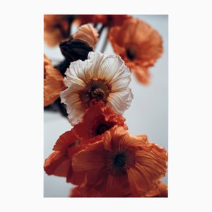 Ugne Pouwell, Orange Poppies No.4, 2024, Photography