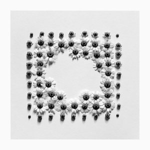 Ugne Pouwell, Ramunės, 2022, Photography