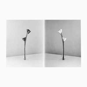 Ugne Pouwell, In Parallel, 2024, Photographie