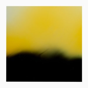 Ugne Pouwell, Yellow and Black, 2024, Photographie
