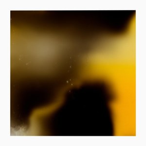 Ugne Pouwell, Yellow and Black No.2, 2024, Photographie