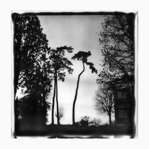 Ugne Pouwell, Sunset, 2024, Photography