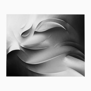 Ugne Pouwell, Papercut No.2, 2021, Photography