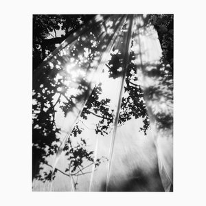 Ugne Pouwell, Daydream, 2022, Photographie