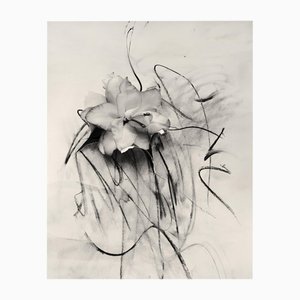 Lily in Charcoal Abstrakter Expressionismus Fotografie Edition von 10 2023