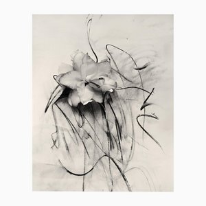Lily in Charcoal Abstract Expressionism Photography Edition of 20 2023