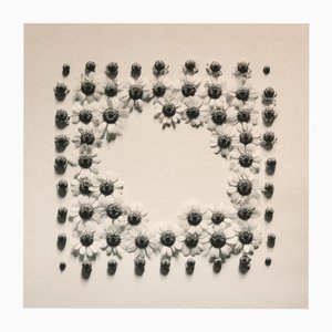 Ramunes - Floral Film Photography sur Toile de Coton, Édition Limitée de 5 2024