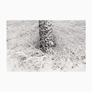 Baltic Freeze #2 - Photographie de Paysage Analogique Noir et Blanc 42 X 27 Cm 2022