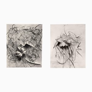 Duo: Lily in Charcoal Series, Limited Edition Abstract Floral Photography 2023