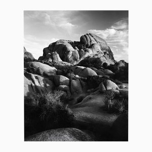 Jumbo Rocks California #2 - Analogue Black and White Desert Rocks 2023