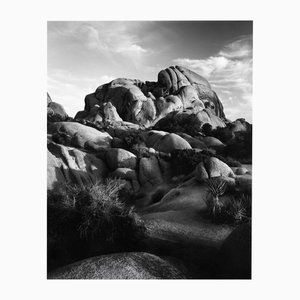 Jumbo Rocks California #2 - Analogue Black and White Desert Rocks 2023