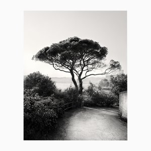 Bay of Poets -Black and White Italian Coast Photography, Limited Edition 3 of 20 2023