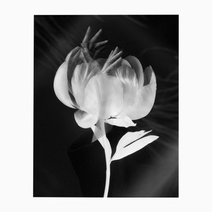 Blooming Hands Double Exposure Fine Art Photography, Edition of 20 2023