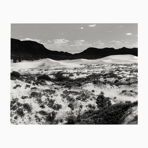 Dunes - Photographie de paysage de dunes de sable noir et blanc, édition limitée de 10 2023