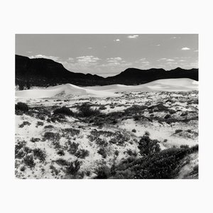 Dunes - Fotografía de paisajes de dunas de arena en blanco y negro, edición limitada del 15 de 2023