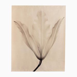 Lily no.3 - Rouleau de toile de coton biologique sur bambou, édition limitée de 5 2023