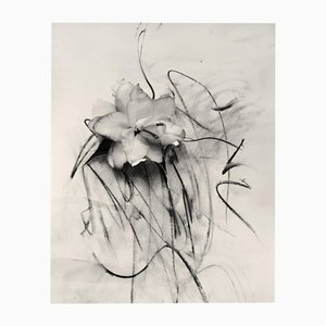 Lily in Charcoal Abstrakter Expressionismus Fotografie Edition von 10 2023
