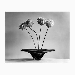 Four Dahlias - Photographie Florale Noir et Blanc Analogique, Édition Limitée 5 2024