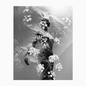 Undo - Signed Fine Art Photograph with Pre-Order Copy of Solace Book 2024