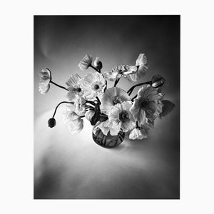 Poppy Bunch - Black and White Floral Photography, Limited Edition 2 of 20 2024