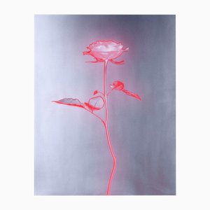 Rose Glow - Fotografía analógica de naturaleza muerta, edición limitada de 5 2023