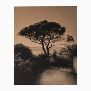 Bay of Poets Mediterranean Landscape, 2024, Artwork on Cotton Canvas