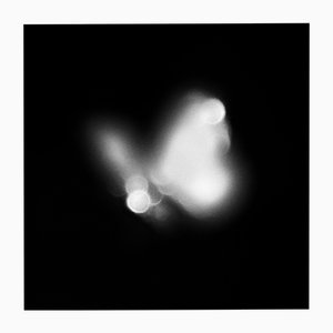 June - Abstract Black and White Butterfly Photography, Limited Edition of 20 2025
