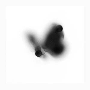 Oris - Abstract Black and White Butterfly Photography, Limited Edition of 20 2025