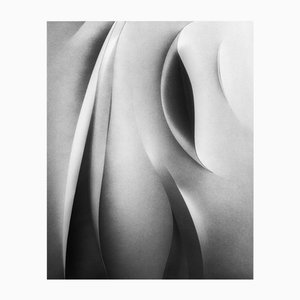 Papercut no.3 - Black and White Abstract Photogoraphy, Limited Editon of 20. 2025