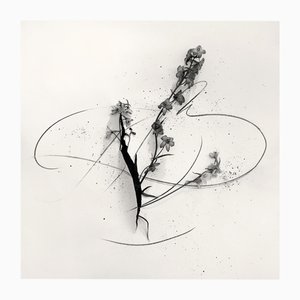 Delphinium in Cut - Abstract Analogue Floral Photography, Limited Edition of 20 2023