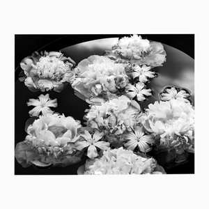 Summer Solstice - Blooms, Photographie en noir et blanc, Édition limitée à 5 exemplaires 2024