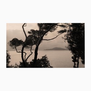 Currents - Photographie de paysage analogique, Édition limitée 3 de 20 2022