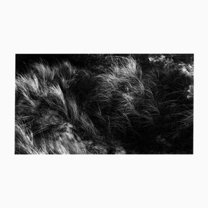 Kopa - Fotografía de paisajes en blanco y negro de las dunas del Báltico, edición limitada 20 2021