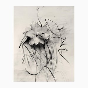 Lily in Charcoal Abstrakter Expressionismus Fotografie Edition von 10 2023