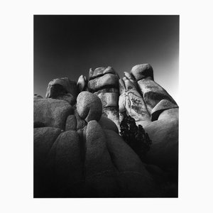 Jumbo Rocks California - Desert Rocks analógico en blanco y negro 2023