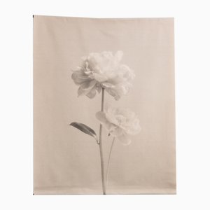 Peony no.2 Cotton Canvas Scroll, Floral Photography, Limited Edition 2 of 5 2023