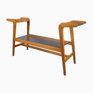 Support pour Plante Mid-Century en Bois et Verre, 1960s