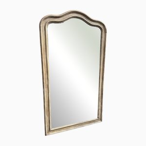 Large 19th Century French Carved Wood Painted Mirror