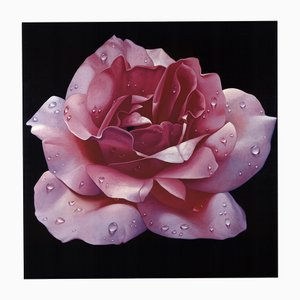 Franco Campana, Pink Rose, Art Print