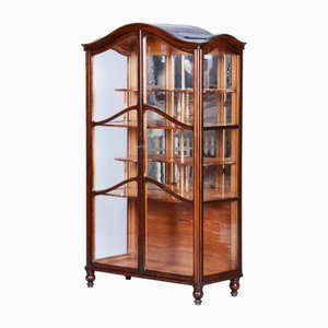 Biedermeier Display Cabinet in Maple & Walnut, Czech, 1850s