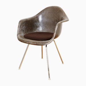 Chaise Seal Dax en Fibre de Verre Marron par Charles & Ray Eames pour Herman Miller, 1960s