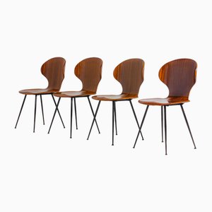 Plywood Lulli Chairs by Carlo Ratti, 1950s, Set of 4