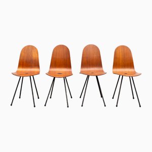 Mod. Arturo Chairs by Franco Campo & Carlo Graffi, 1950s, Set of 4