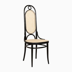 No. 207 R Wooden Dining Chair in Brown by Michael Thonet for Thonet